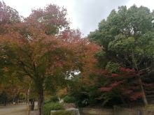 花博記念公園