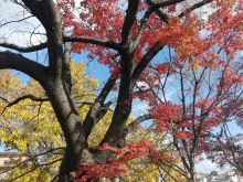 花博記念公園