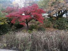 花博記念公園